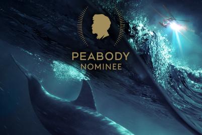„Sea of Shadows“ für herausragendes Storytelling nominiert
