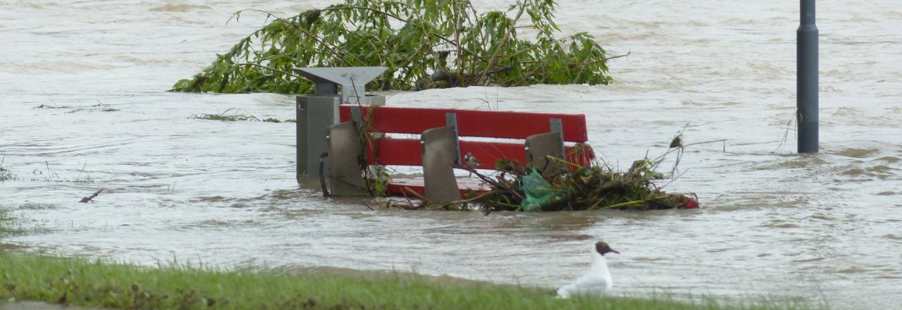 Länderübergreifende Hochwasserprognosen für die Leitha online