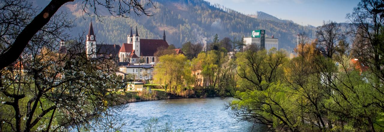 Österreichs Wasserqualität garantiert besten Biergenuss
