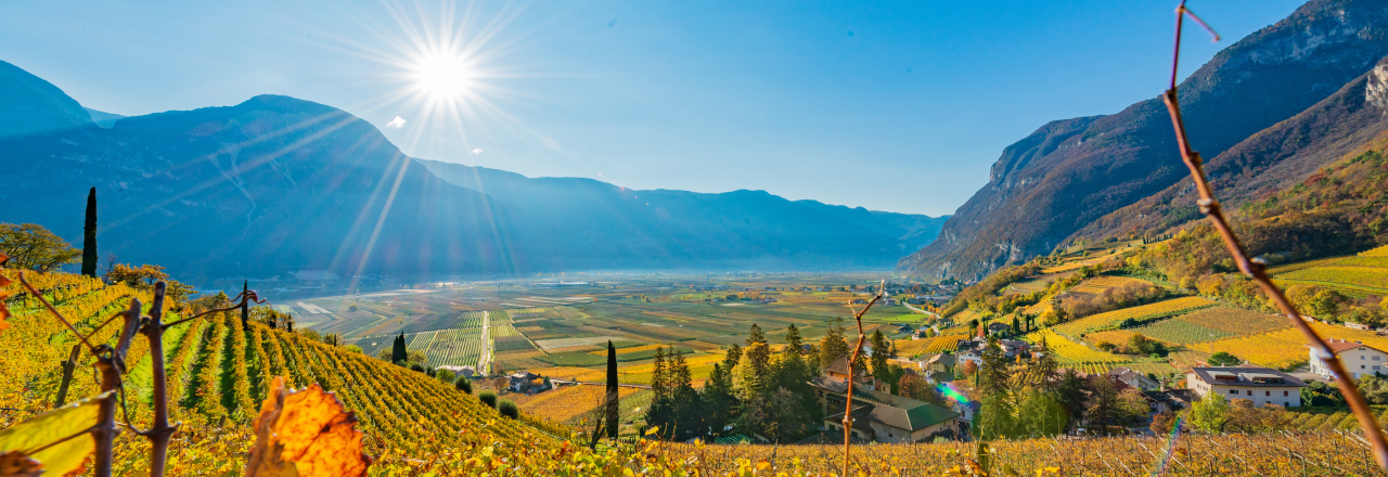 Trink-Genuss: Der „Falstaff Wein Guide Österreich/Südtirol 2021/2022“ ist da