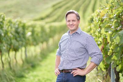 Weinbauverband fordert nationalen Schulterschluss
