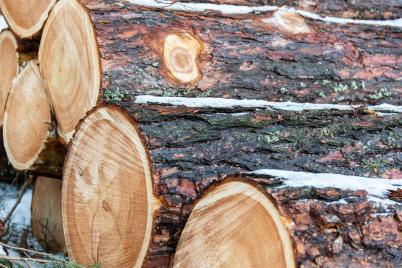 Nachhaltigkeits-Gütesiegel für Maschinenring Holzhandel