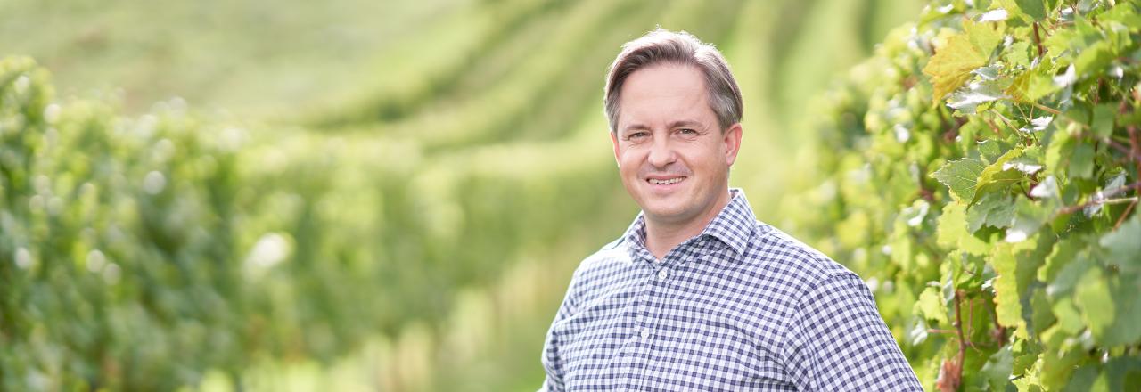 Weinbauverband fordert nationalen Schulterschluss