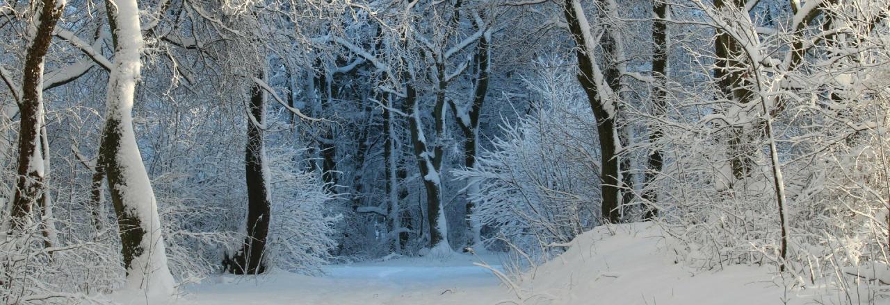 Niederösterreichs schönste Wege an der frischen Winterluft