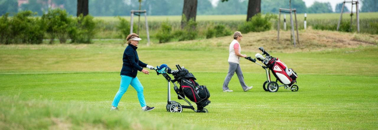 In Niederösterreich gewinnt der Golfsport immer mehr begeisterte Anhänger