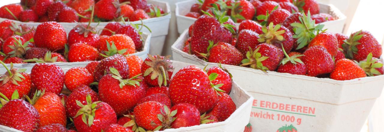 Erdbeeren schmecken regional am besten