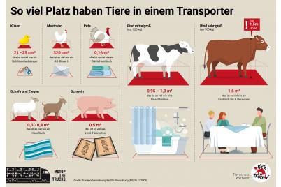Österreich importiert und exportiert jeweils über 20 Millionen lebende Nutztiere
