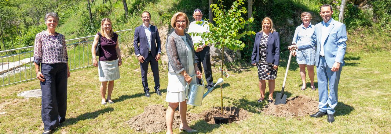 Erster zertifizierter Heilwald Österreichs entsteht in Senftenberg
