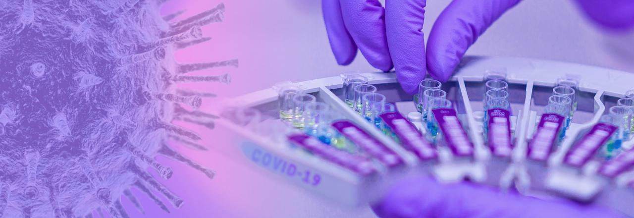 Land Niederösterreich unterstützt den Ausbau des PCR-Testlabors der Donau-Universität Krems